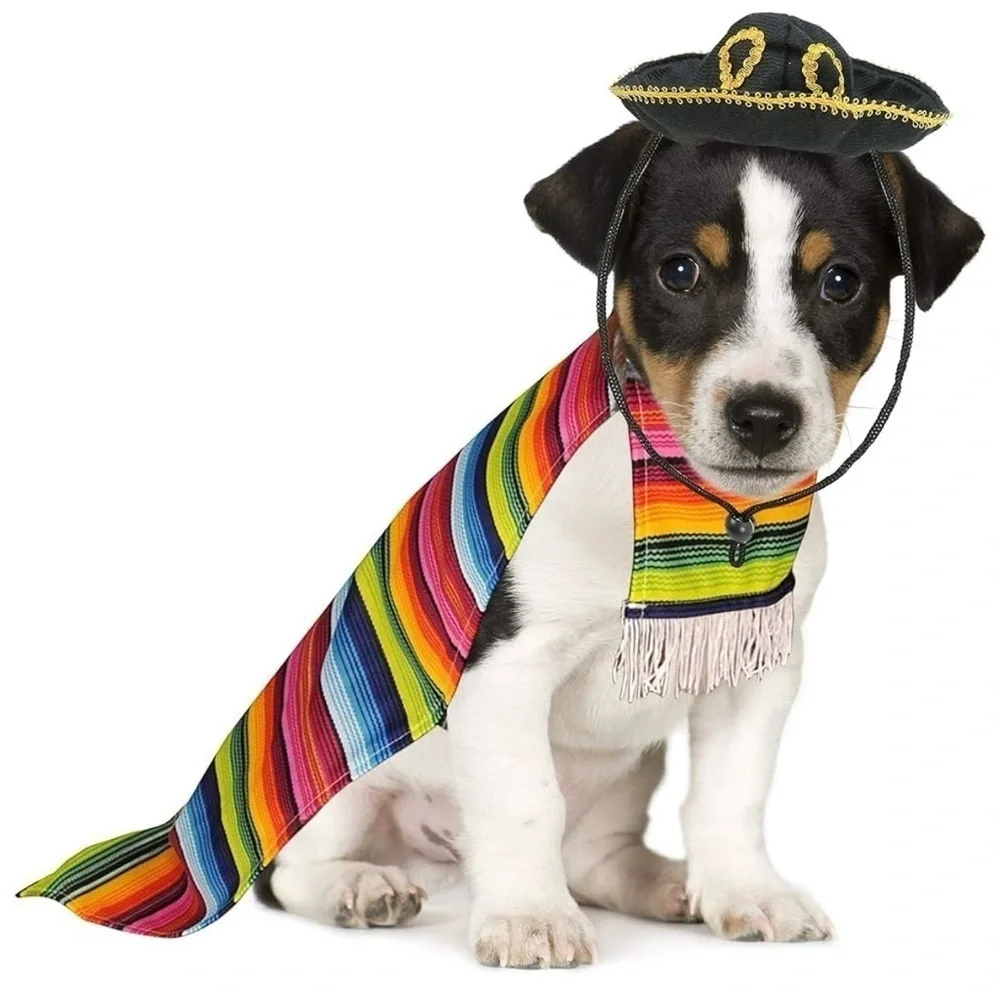 Multicolor Pet Costume